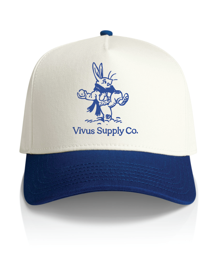 Vivus Winterbreak Two Tone Cap