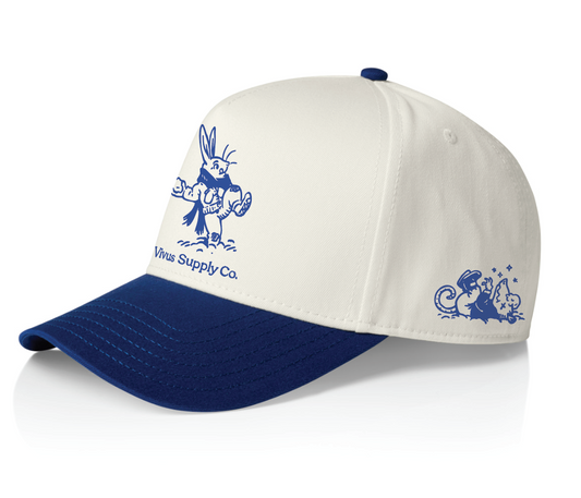 Vivus Winterbreak Two Tone Cap